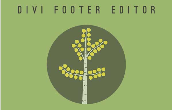 Divi Footer Editor Plugin