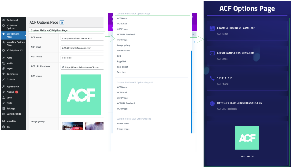 Divi Dynamic Content Extended Divi Booster