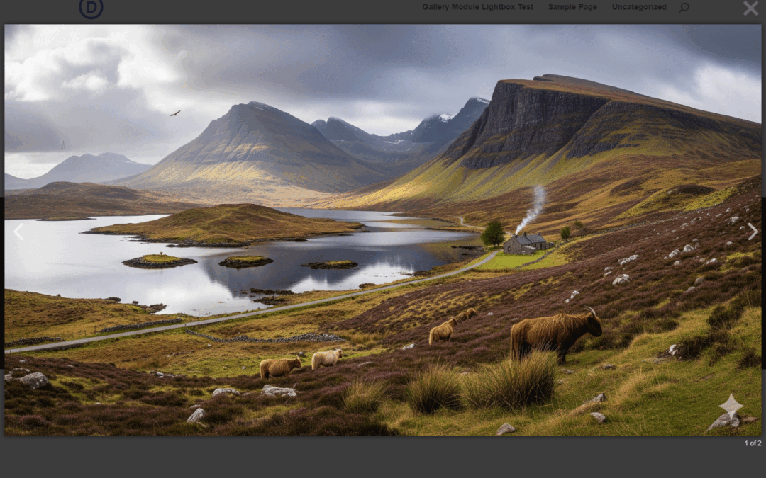 Hide Gallery Image Titles in the Divi Lightbox Overlay