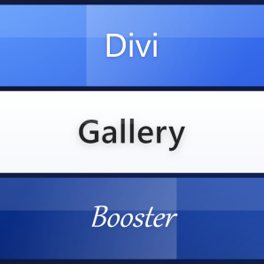 Divi Gallery Booster
