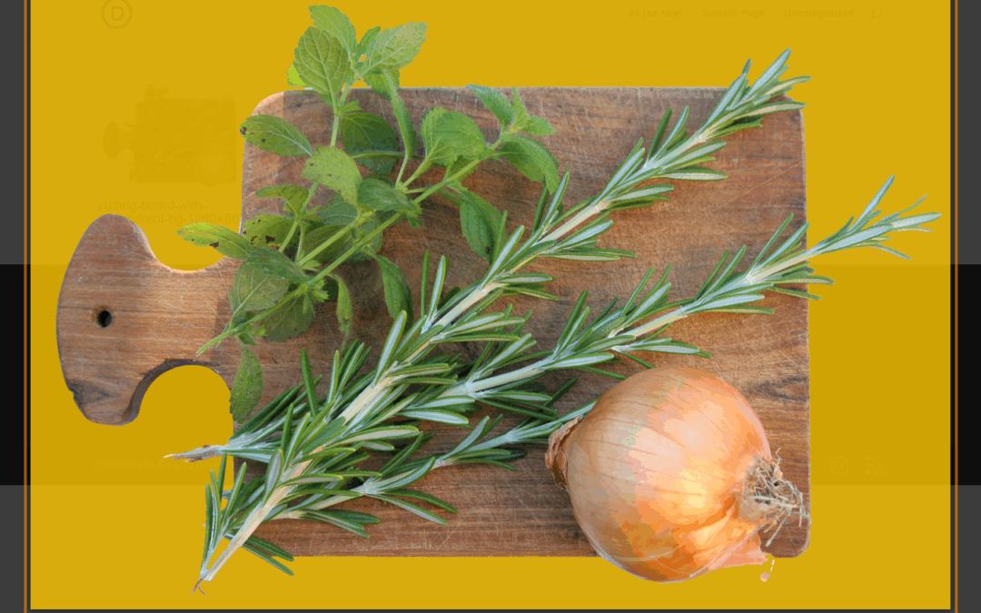 Customize the Lightbox Image Background Color in the Divi Gallery