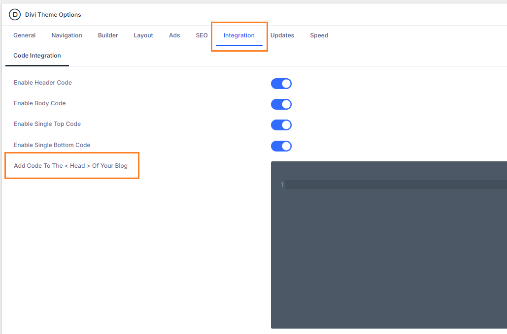 Divi Theme Options "Add code to the head of your blog" location