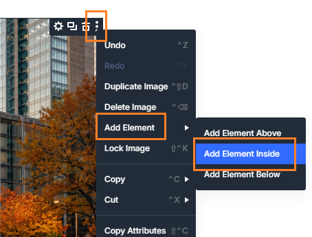 Adding an element inside the Divi Image module