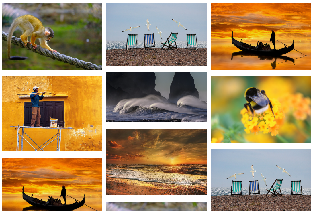 A Divi Gallery module using a masonry layout