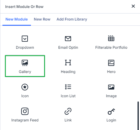 Inserting a Divi Gallery module