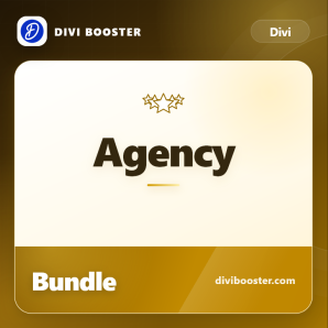 Divi Agency Bundle